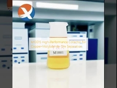 Máy thu hiệu suất cao M1001S để phân tách quặng đồng-molybdenite